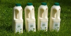 Hook & Son Raw Milk