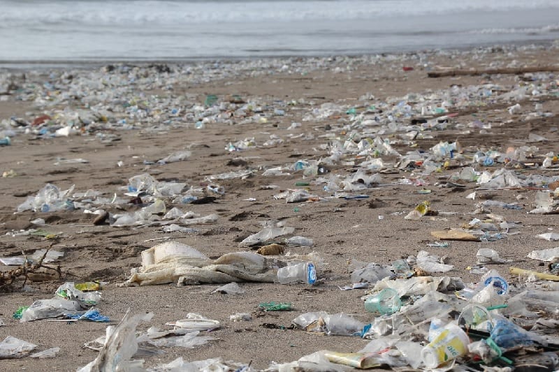Beach plastic pollution