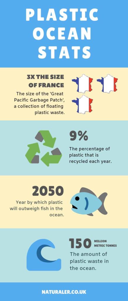 How Does Plastic End Up in the Ocean? Facts about plastic pollution