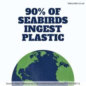 Plastic in the Ocean Facts - Naturaler