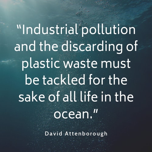 24 Quotes On Plastic Pollution - Naturaler