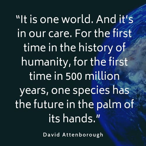 Pollution quote David Attenborough