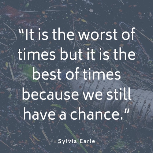 Pollution quote Sylvia Earle