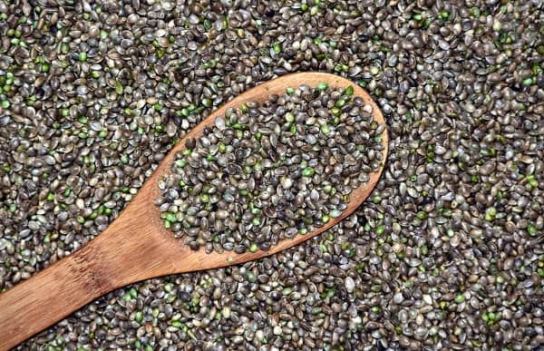 Hemp seeds