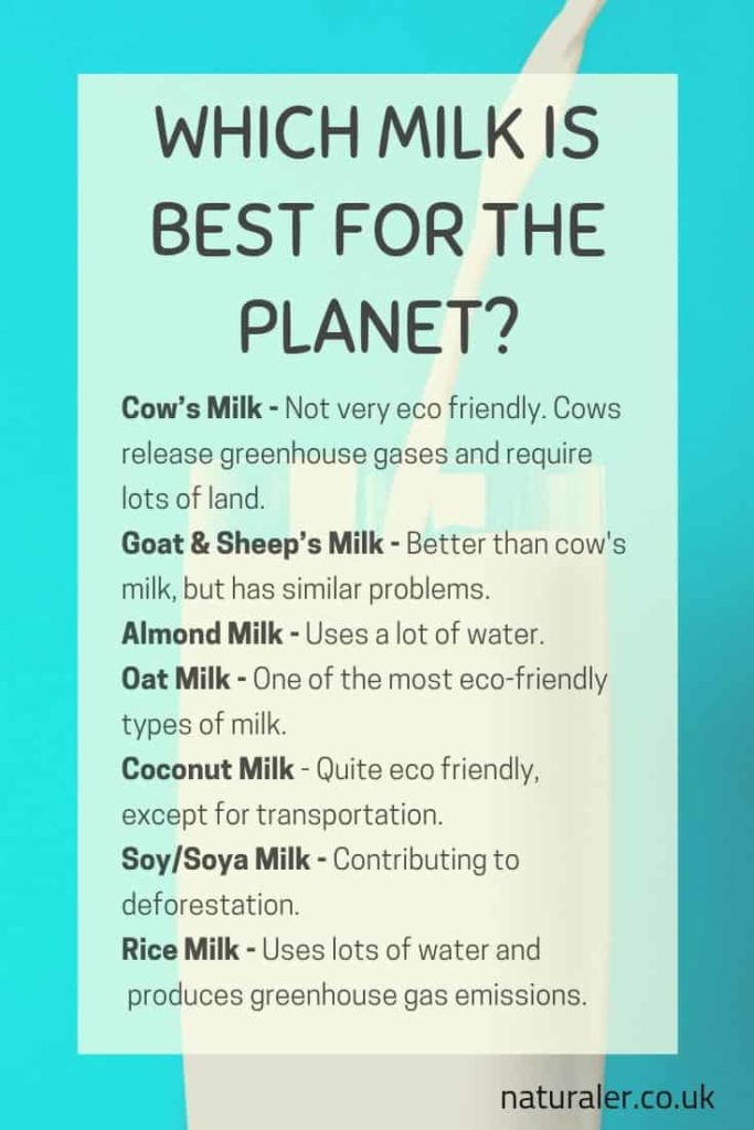 What’s the Most Environmentally Friendly Type of Milk? (UK)