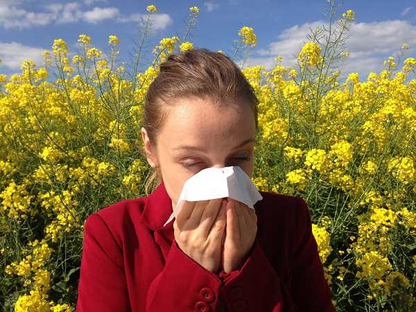 Hayfever