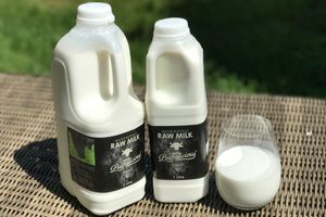 Raw Buffalo Milk by Buffalicious