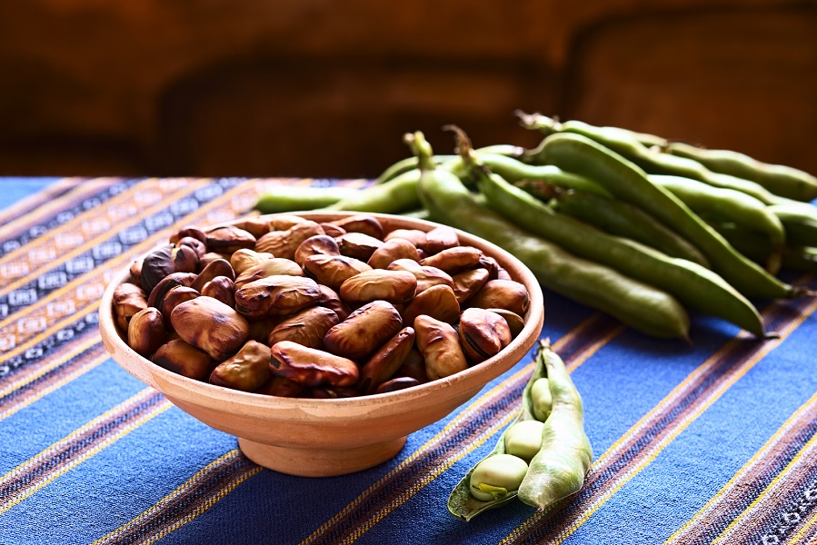 Uncooked and toasted fava beans